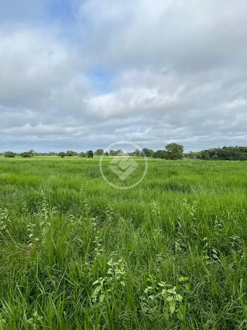Fazenda Centro, Cocalinho - MT — foto 2