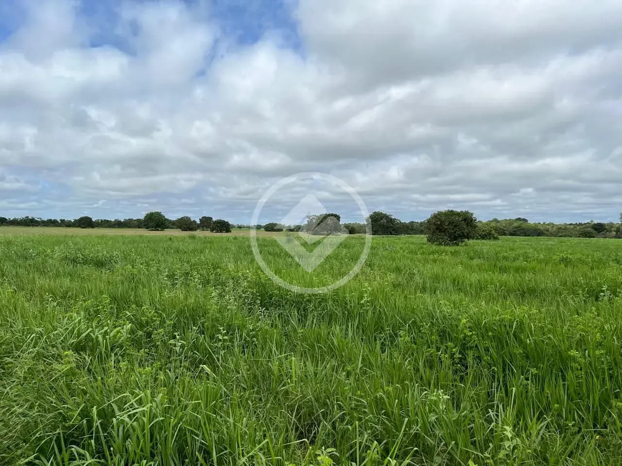 Fazenda Centro, Cocalinho - MT — foto 1