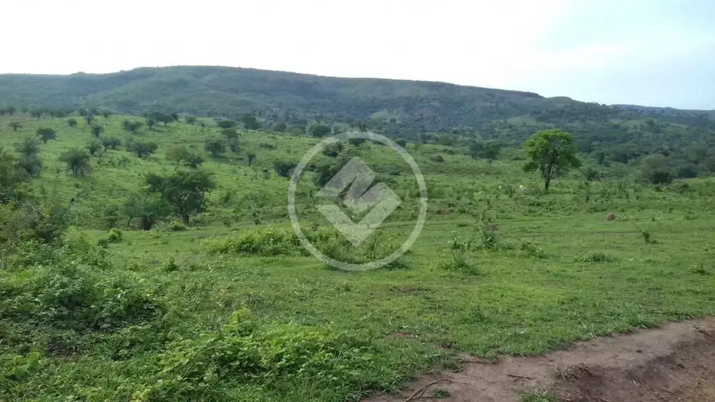 Fazenda Centro, Campinápolis - MT — foto 2