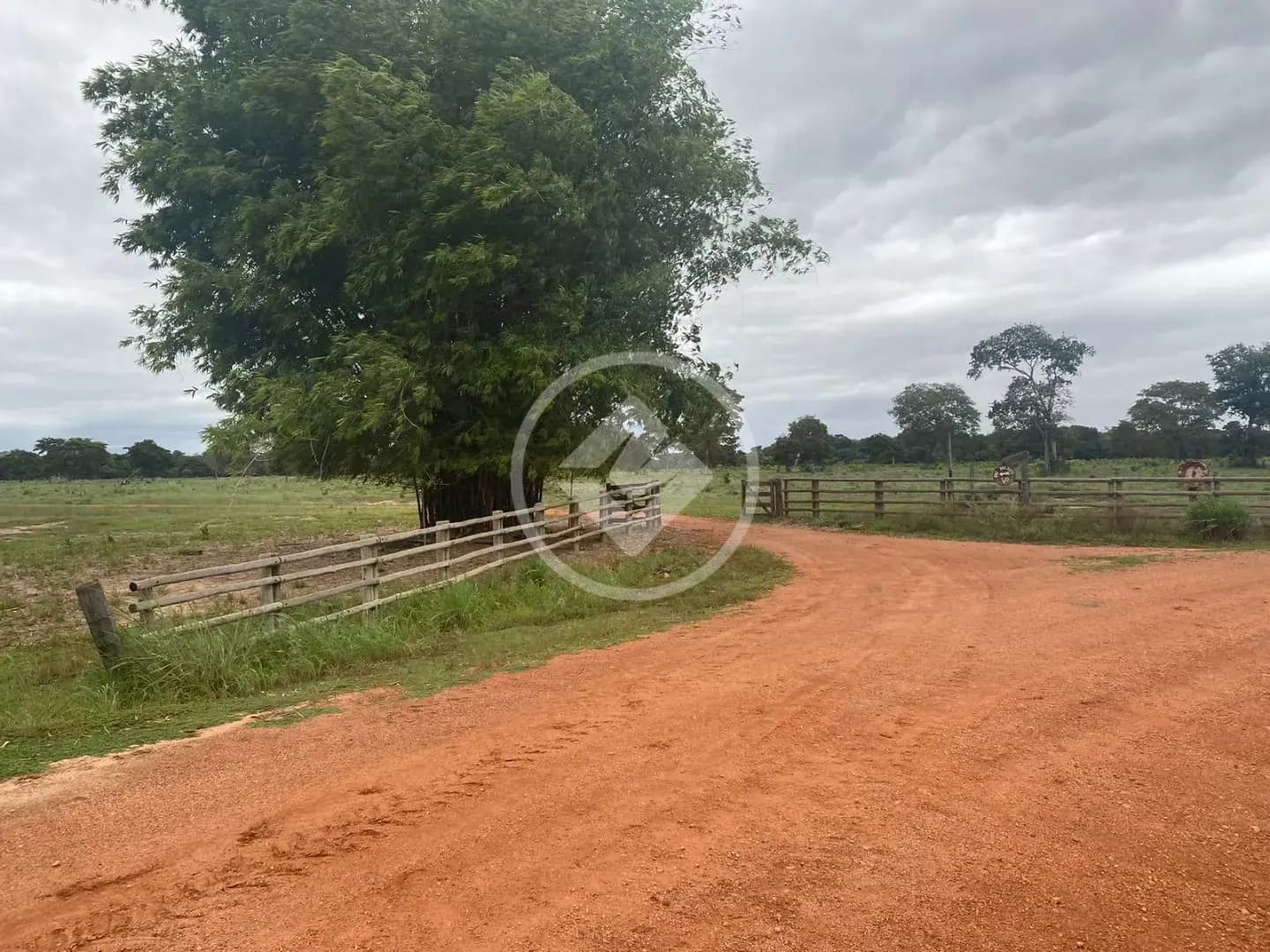 Fazenda Centro, Cocalinho - MT — foto 1