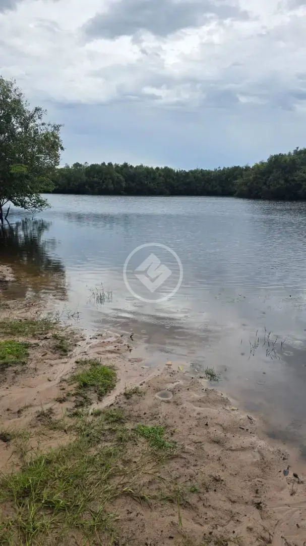 Fazenda Centro, Cocalinho - MT — foto 2