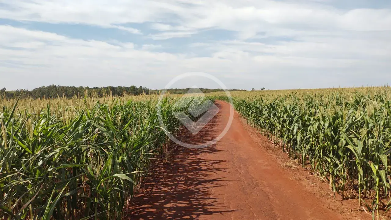 Fazenda Confresa, Confresa - MT — foto 1