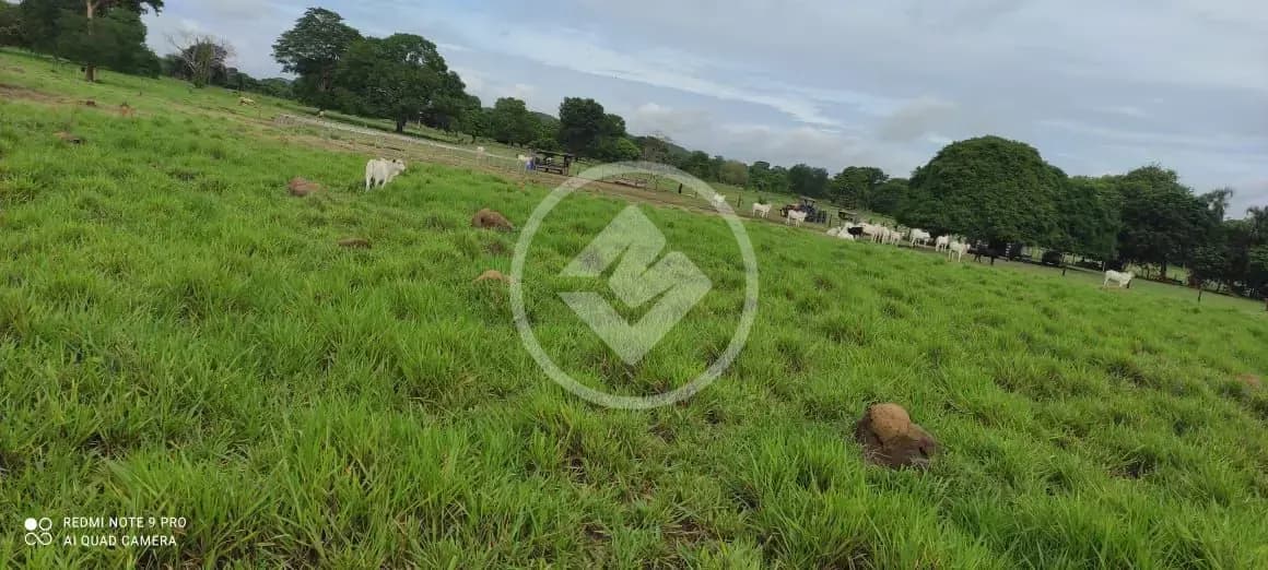 Fazenda Centro, Cocalinho - MT — foto 1