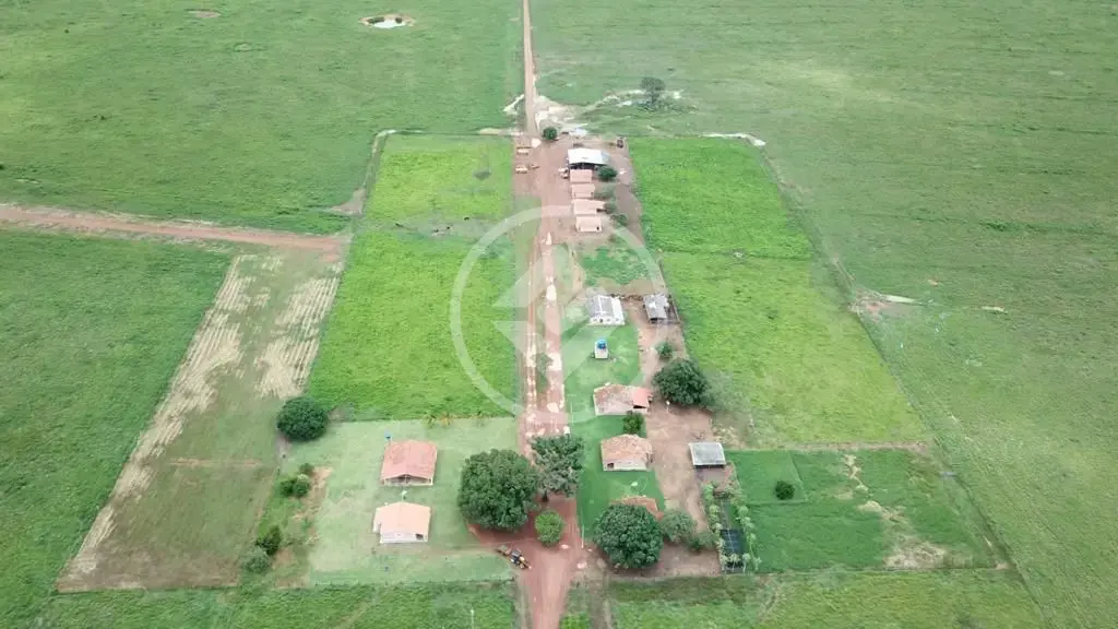 Fazenda , Santa Terezinha - MT — foto 1