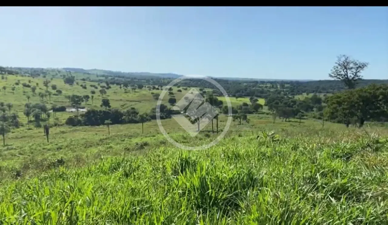 Fazenda , Campinápolis - MT — foto 1