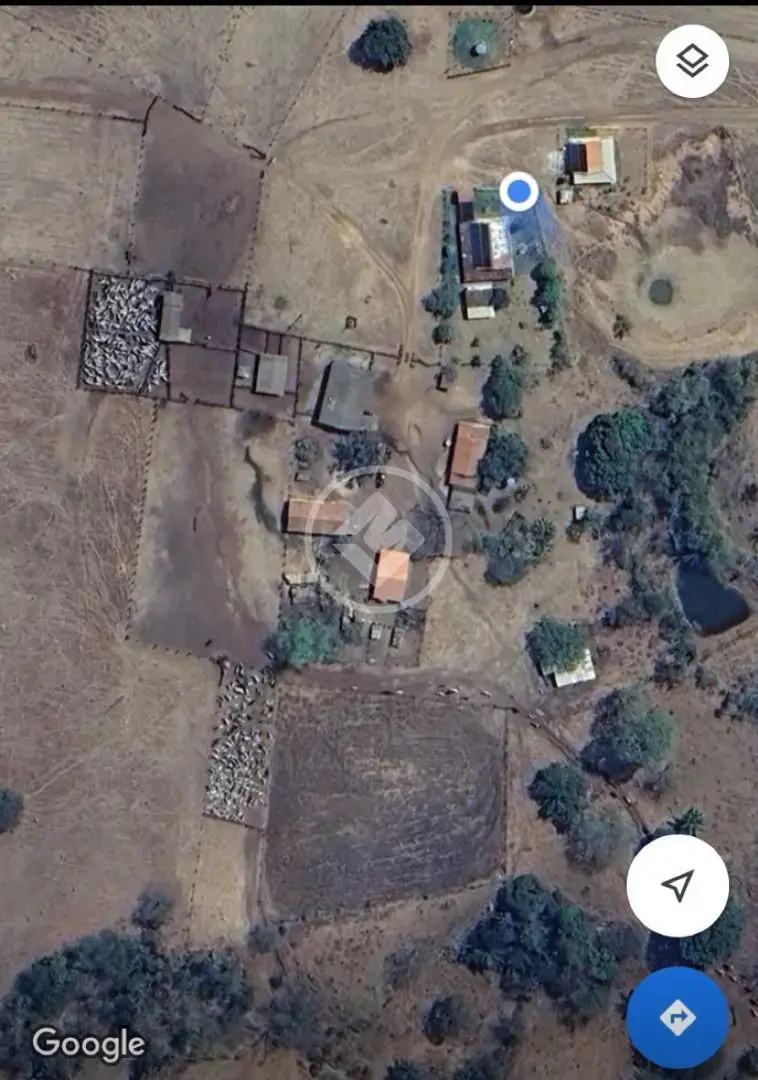 Fazenda , Campinápolis - MT — foto 2