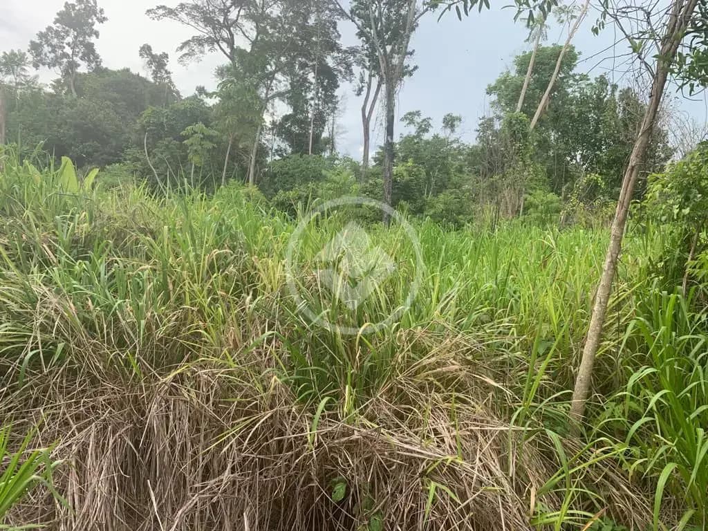Fazenda , Vila Rica - MT — foto 2