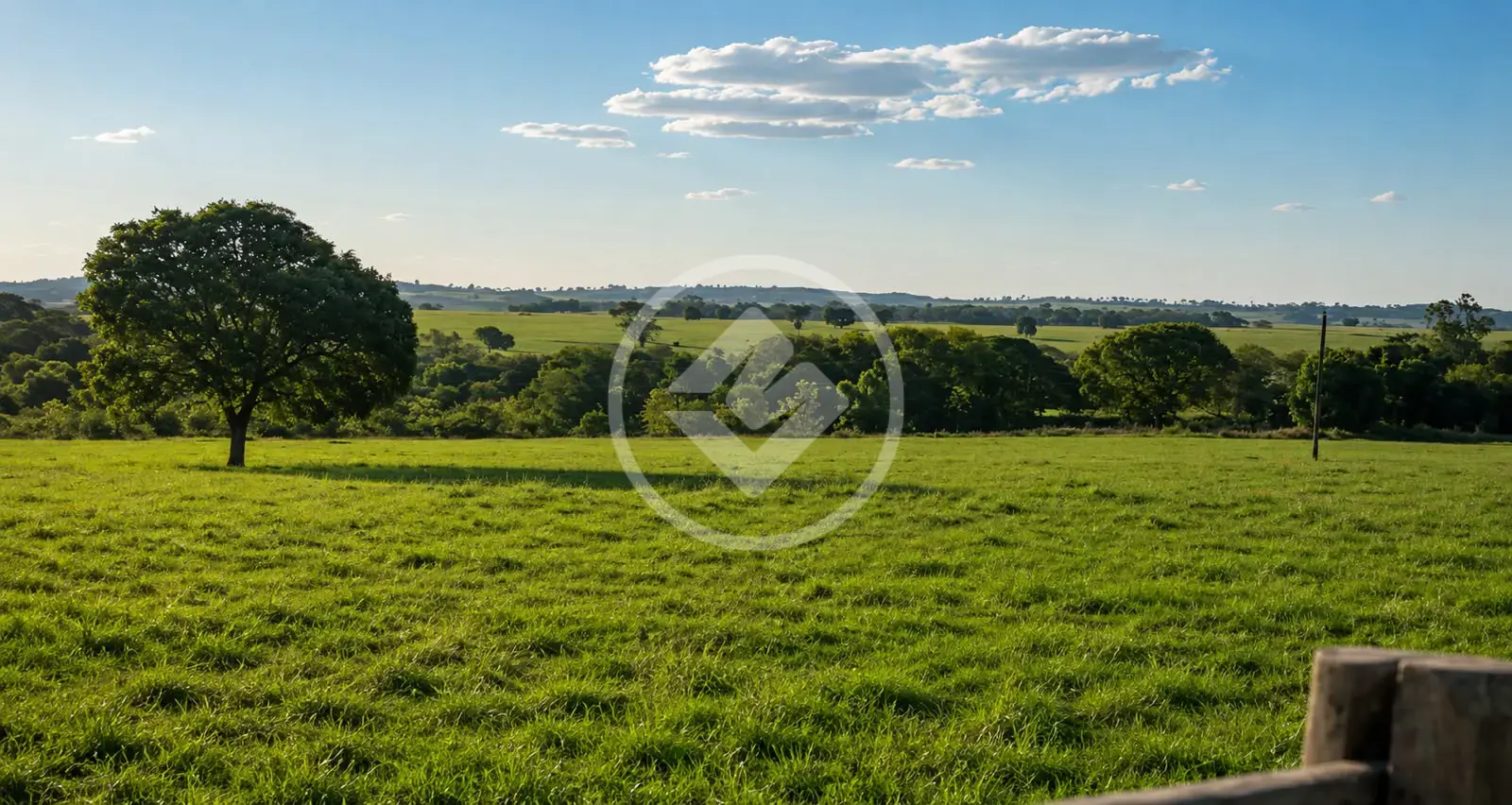 Fazenda Centro, Palmeiras de Goiás - GO — foto 1