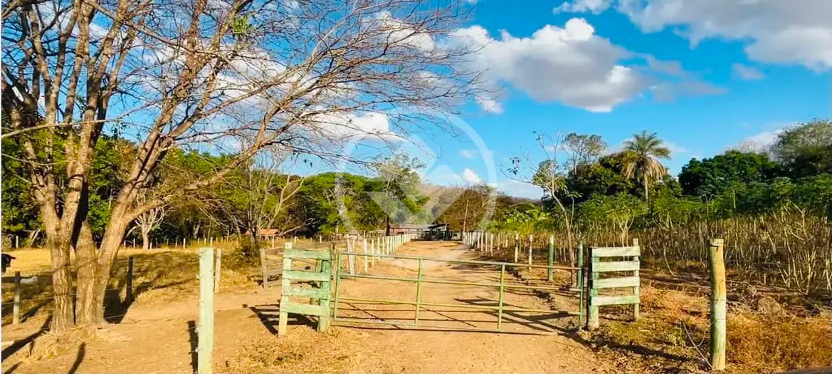 Fazenda Centro, Palmeiras de Goiás - GO — foto 2
