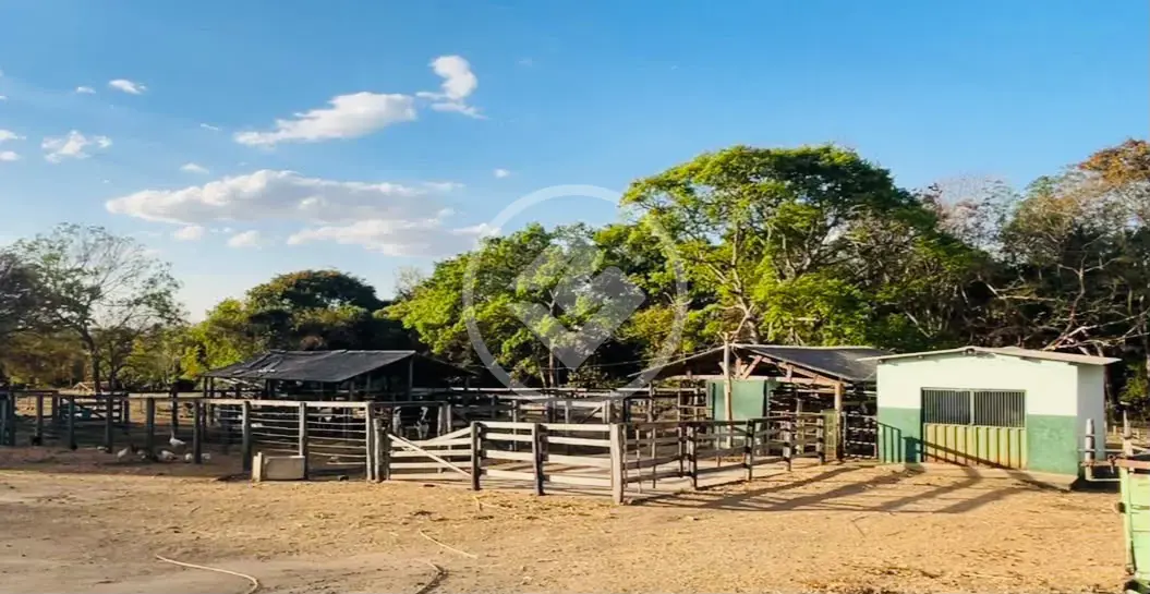 Fazenda 3 quartos no Centro, Palmeiras de Goiás — foto 5 de 5