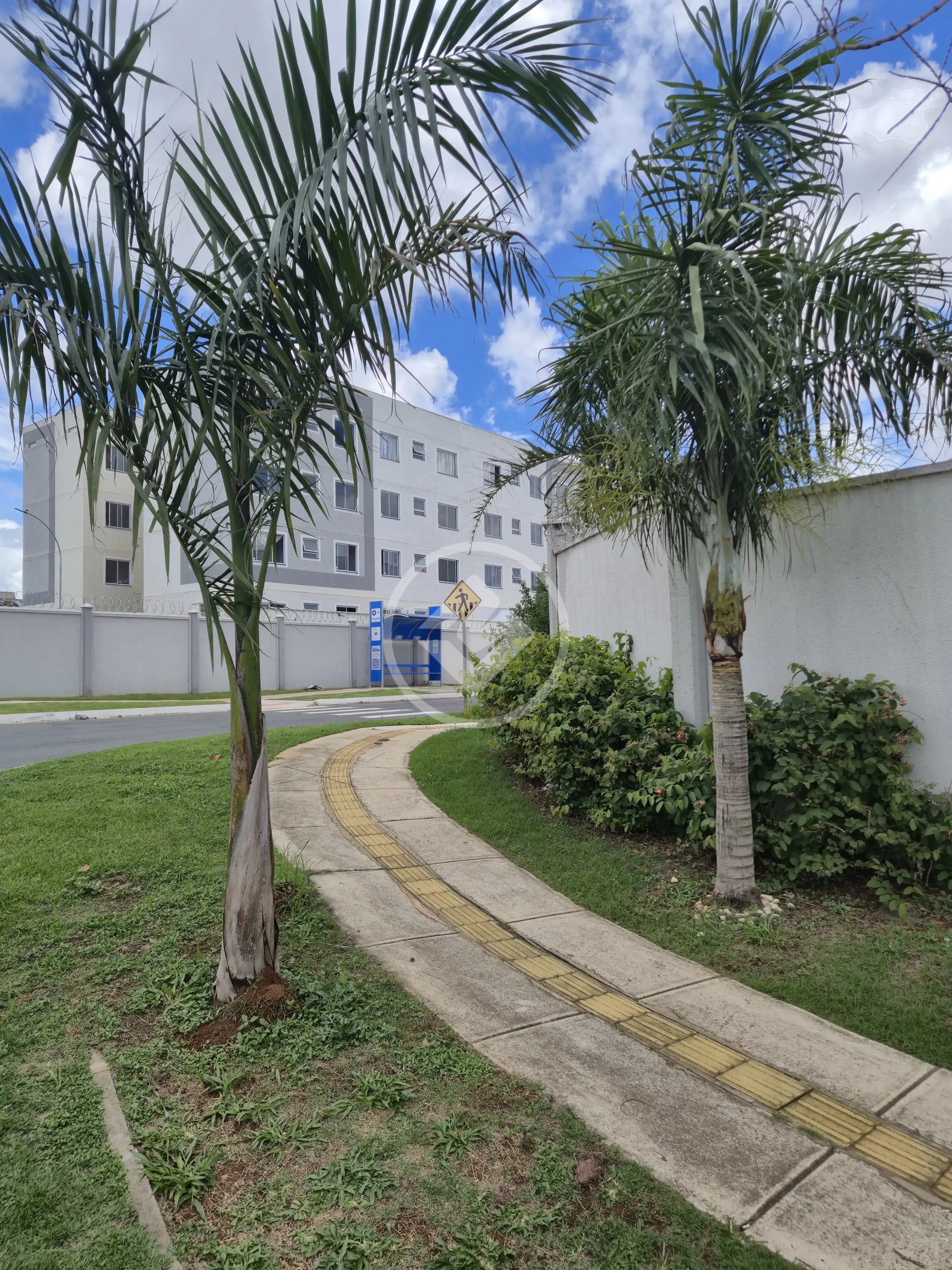 Apartamento Cardoso Continuação, Aparecida de Goiânia - GO — foto 1