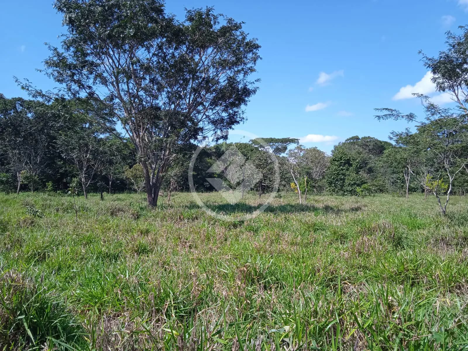 Terreno no Estância Vargem Bonita, Senador Canedo — foto 5 de 6