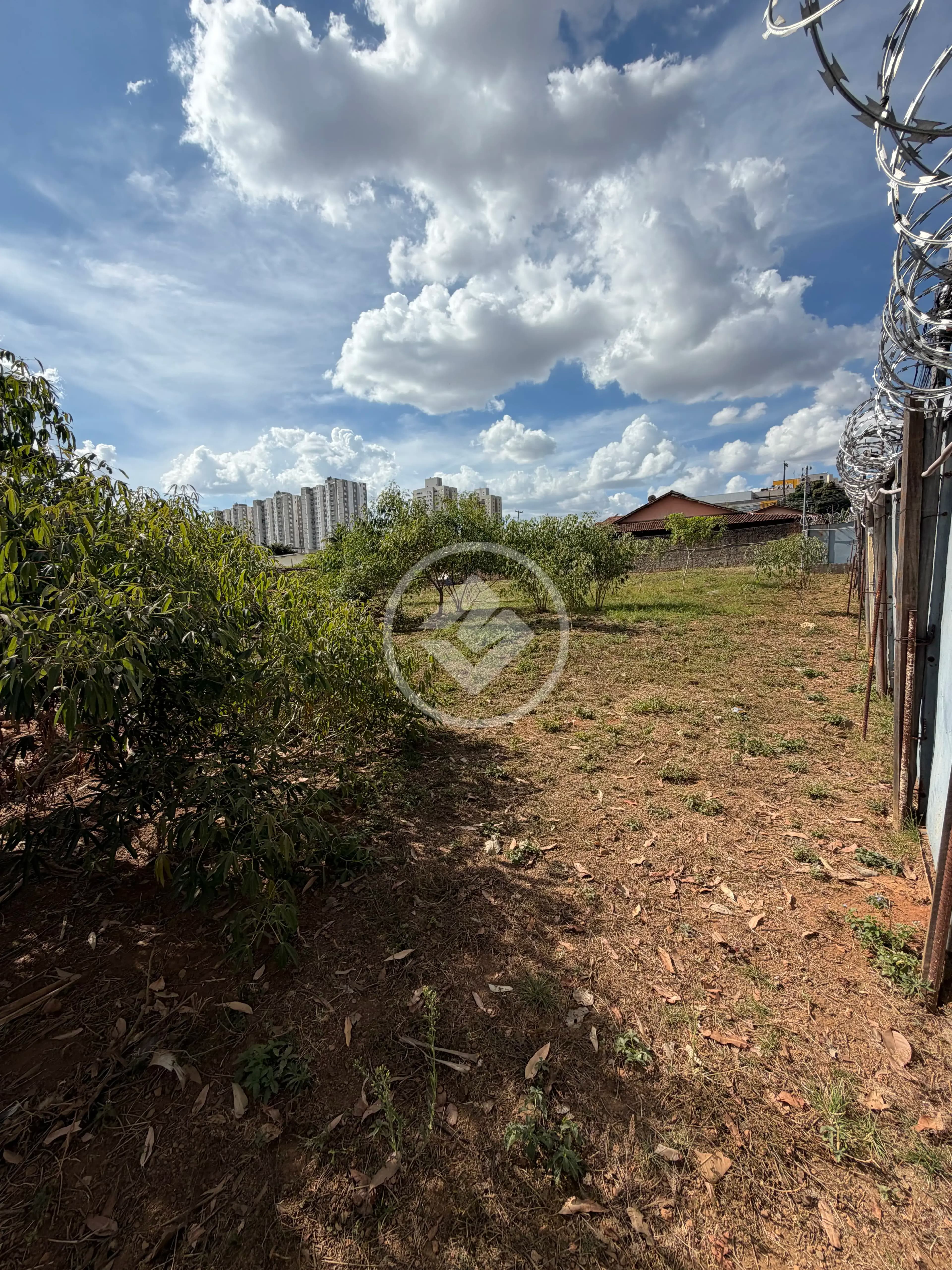 Terreno no Vila Rosa, Goiânia — foto 4 de 6