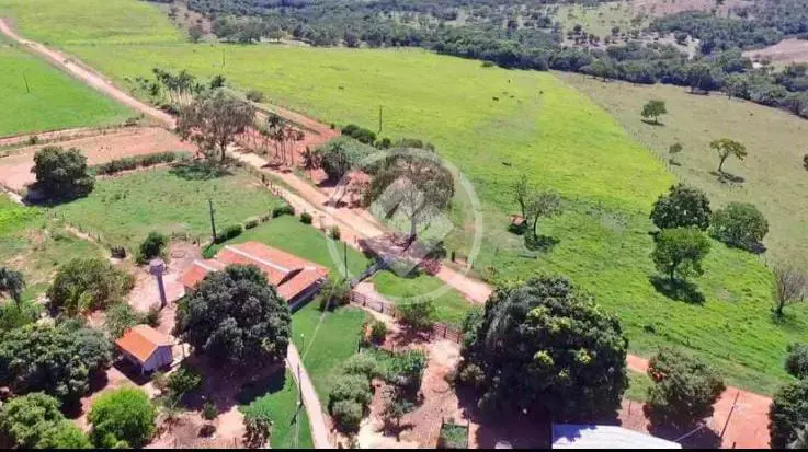 Fazenda Zona Rural, Pires do Rio - GO — foto 2