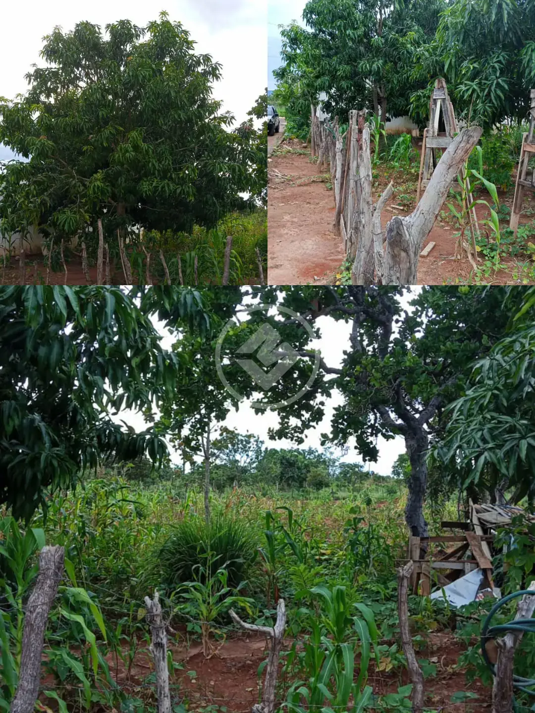 Terreno Setor Lagoa Quente, Caldas Novas - GO — foto 1