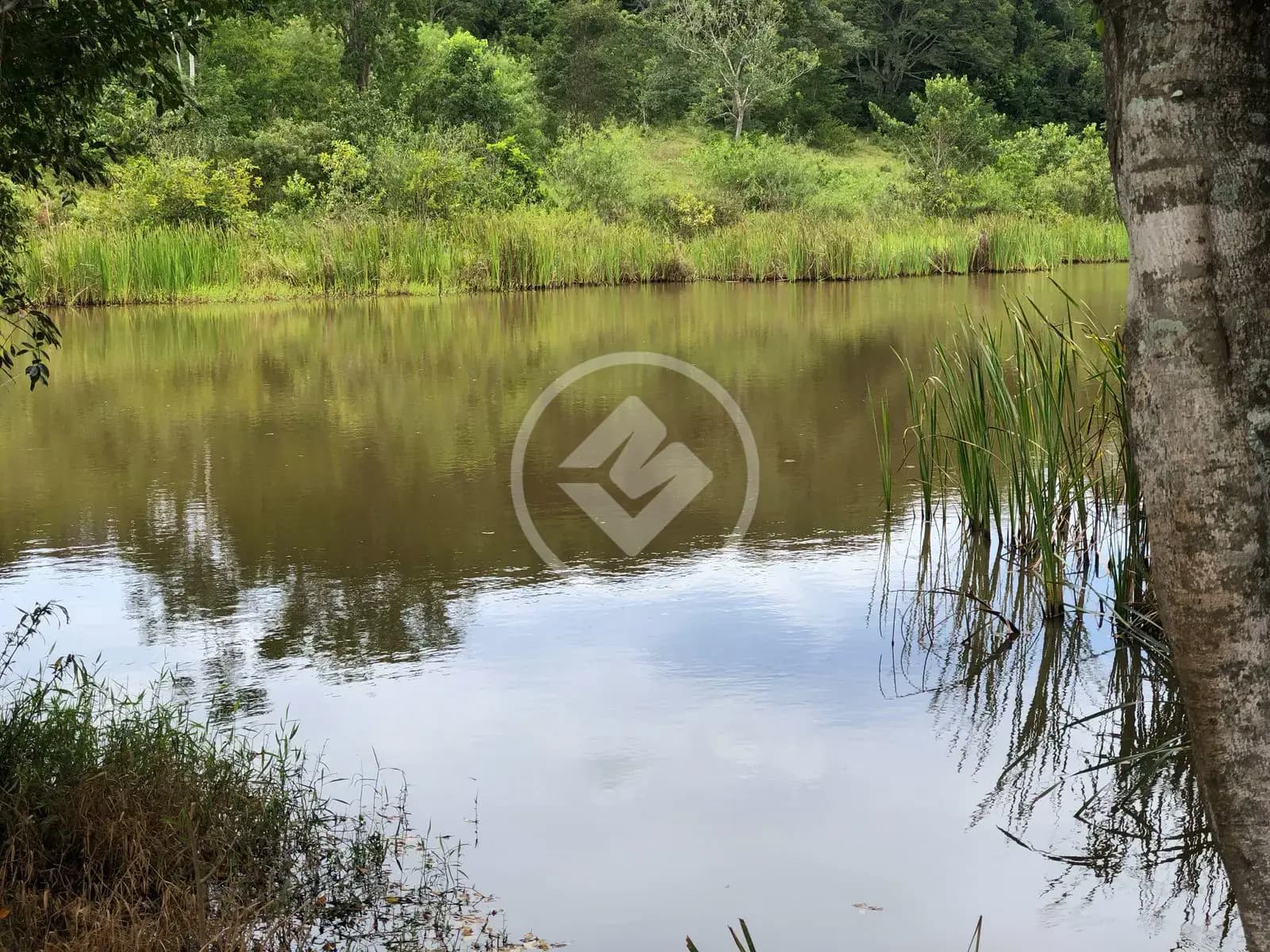 Fazenda 4 quartos no Área Rural de Caldas Novas, Caldas Novas — foto 3 de 6