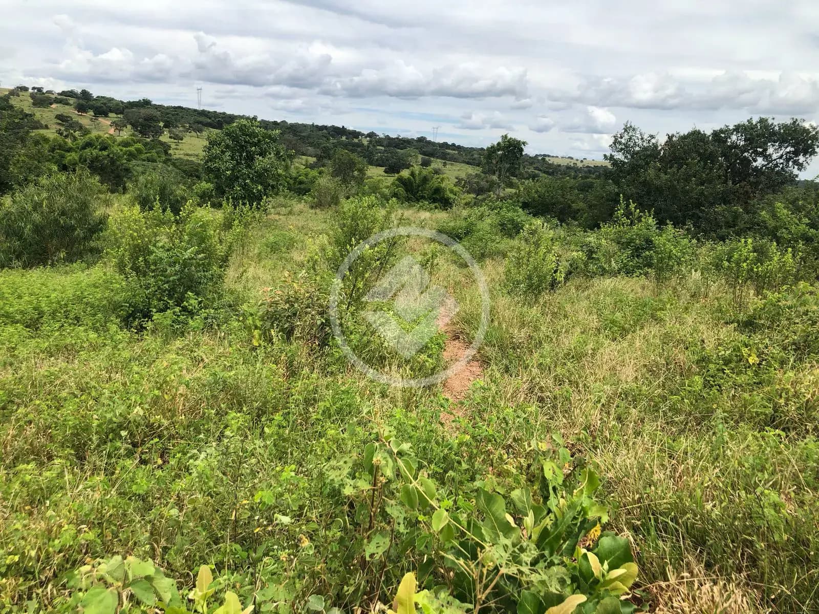 Fazenda 4 quartos no Área Rural de Caldas Novas, Caldas Novas — foto 6 de 6