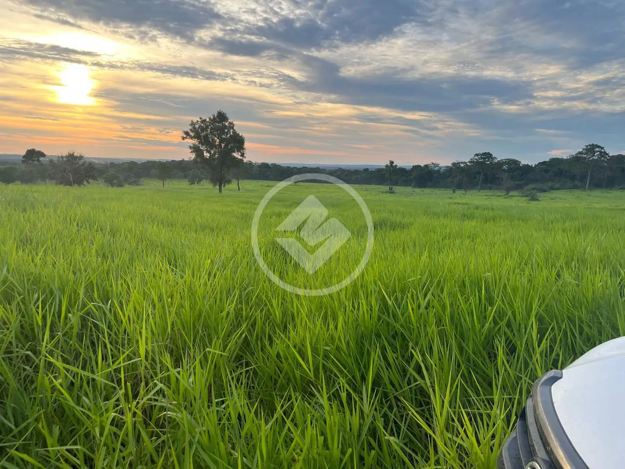 Fazenda Centro, Alcinópolis - MS — foto 2