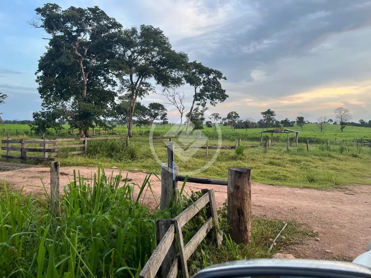 Fazenda Centro, Alcinópolis - MS — foto 1