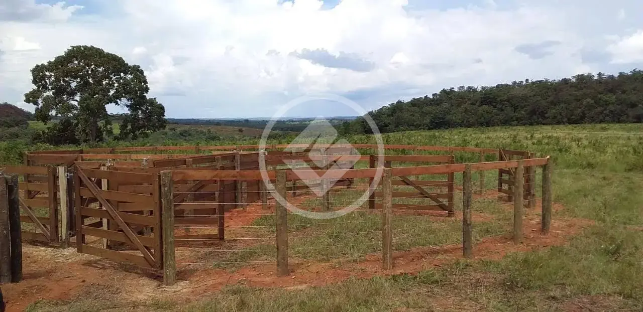 Fazenda ZONA RURAL, Itiquira - MT — foto 2