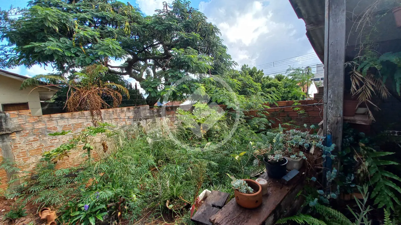 Casa 3 quartos no Alto Alegre, Cascavel — foto 6 de 6