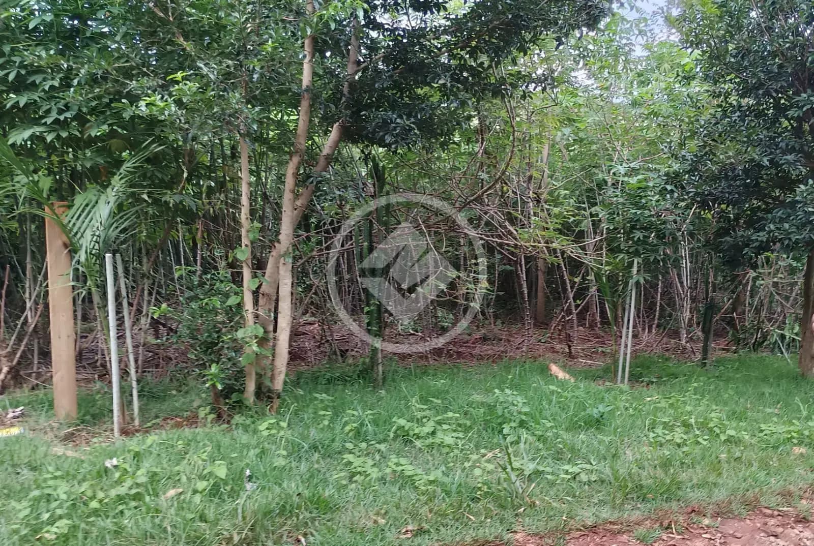 Chácara no São Salvador, Cascavel — foto 5 de 6