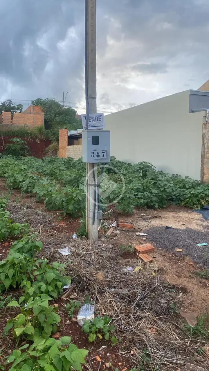 Terreno Centro, Corbélia - PR — foto 2