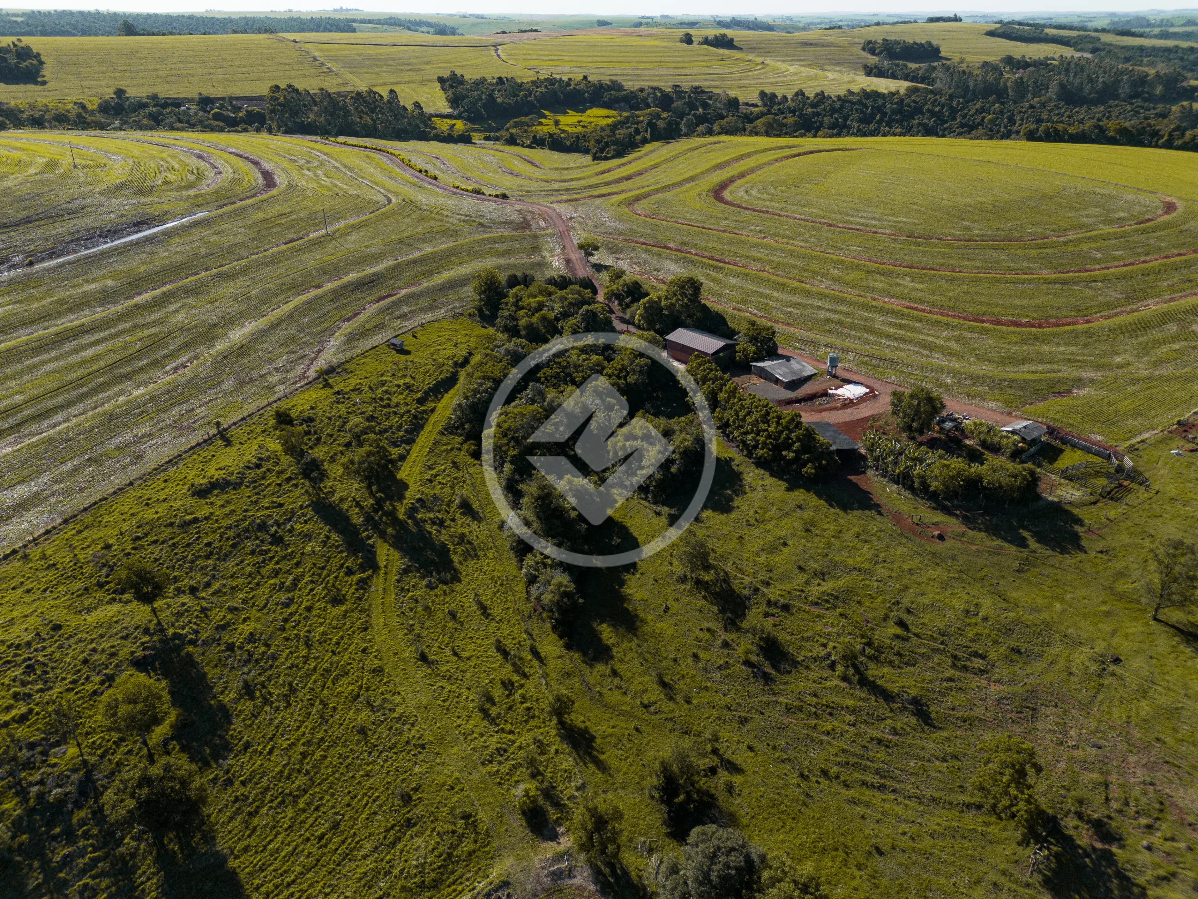 Sítio Vera Cruz do Oeste, Vera Cruz do Oeste - PR — foto 1