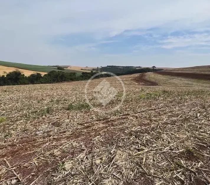 Sítio , Campina da Lagoa - PR — foto 2