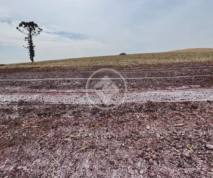 Sítio , Campina da Lagoa - PR — foto 1