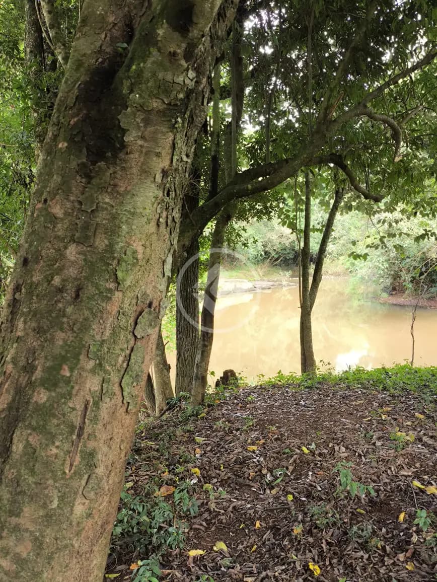 Chácara Interior, Guatambú - SC — foto 2