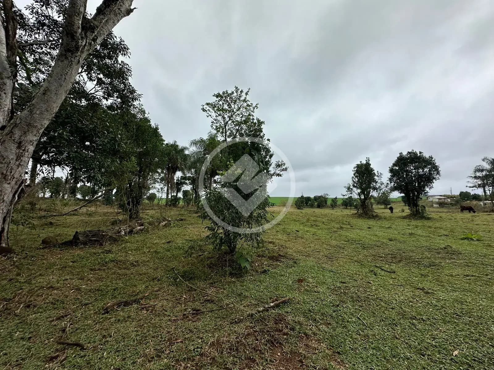 Chácara Interior, Guatambú - SC — foto 2