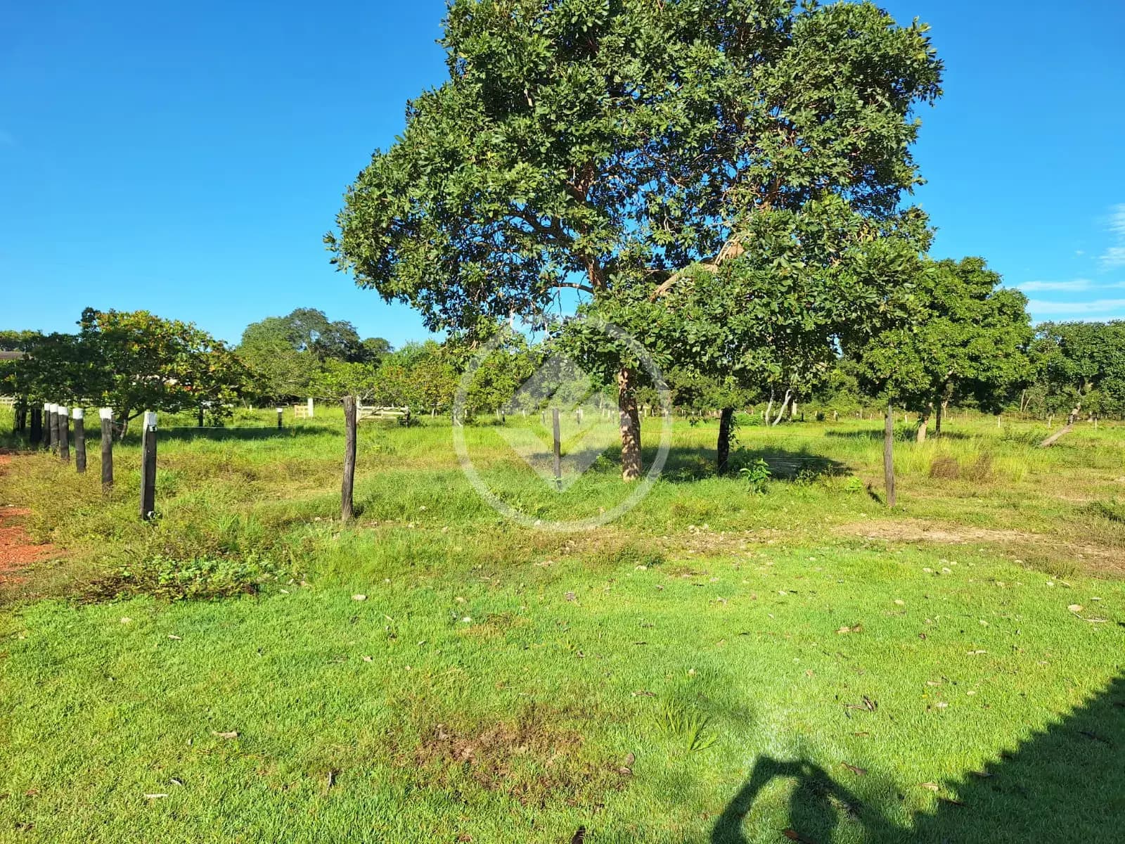 Sítio ZONA RURAL, Poconé - MT — foto 1