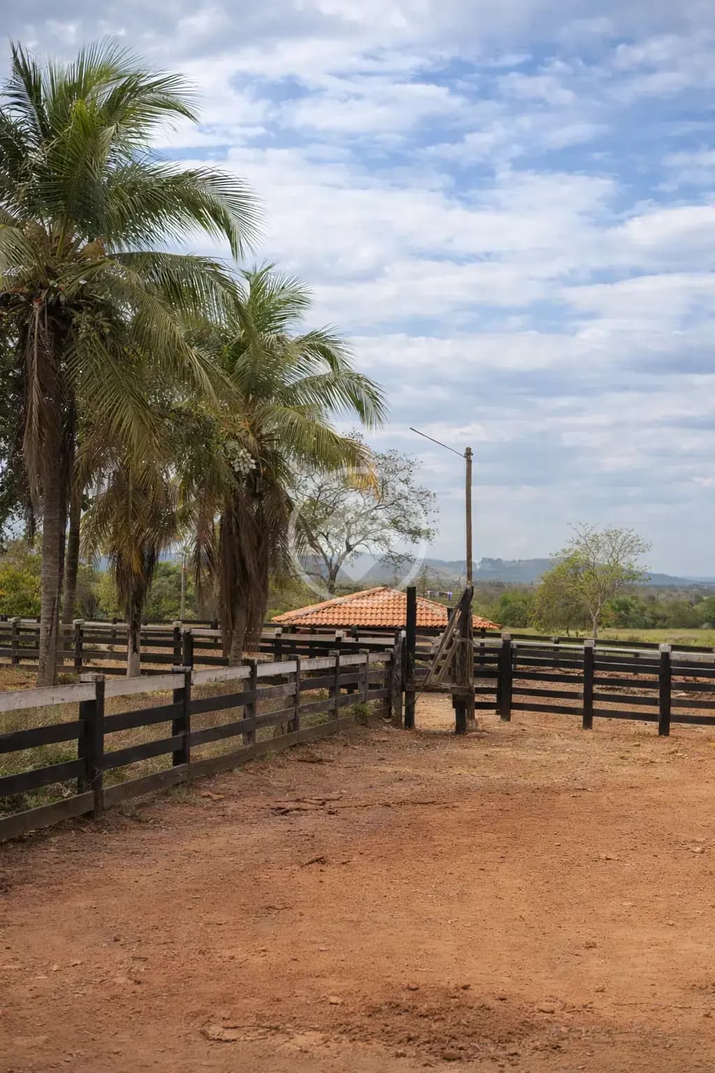 Fazenda Zona Rural, Acorizal - MT — foto 2