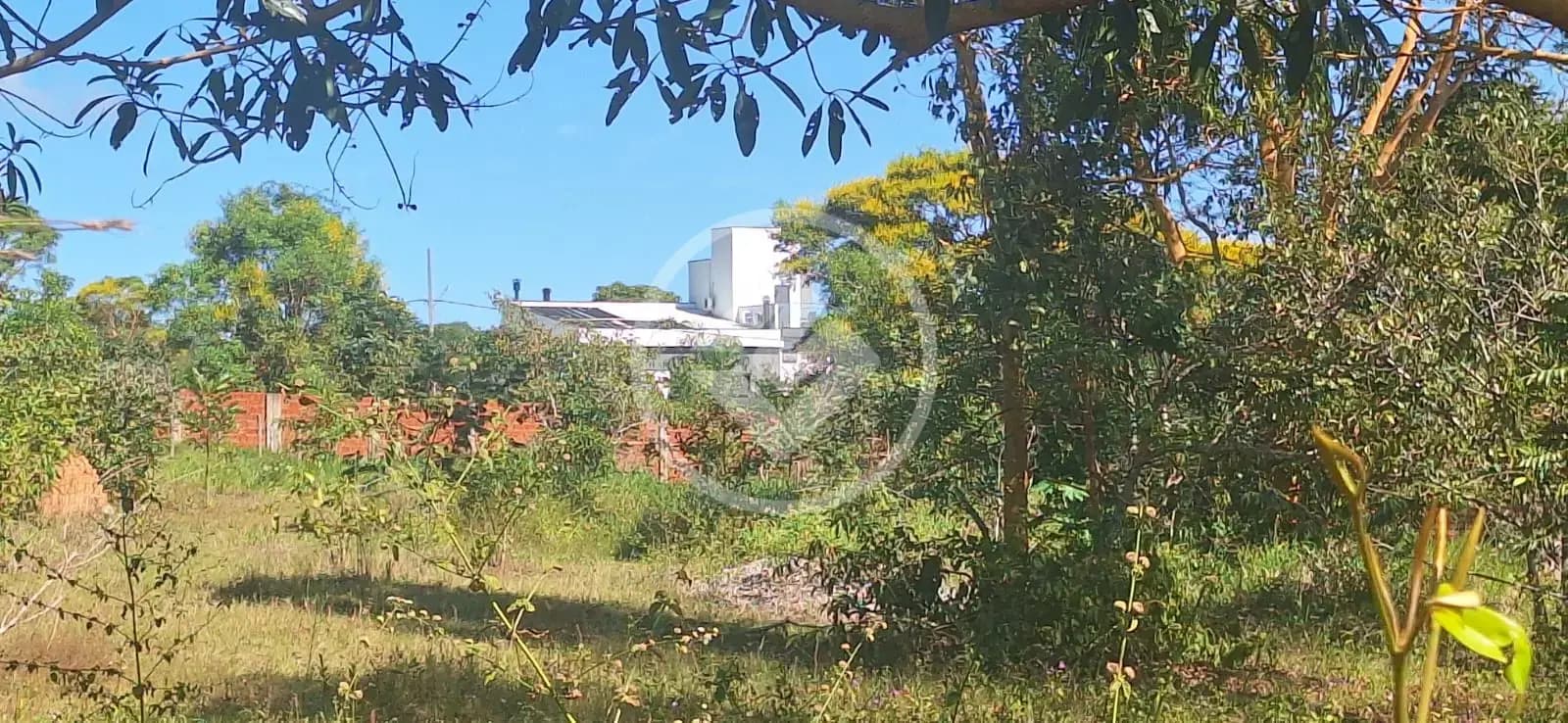 Terreno Aldeia Velha, Aldeia Velha - MT — foto 1