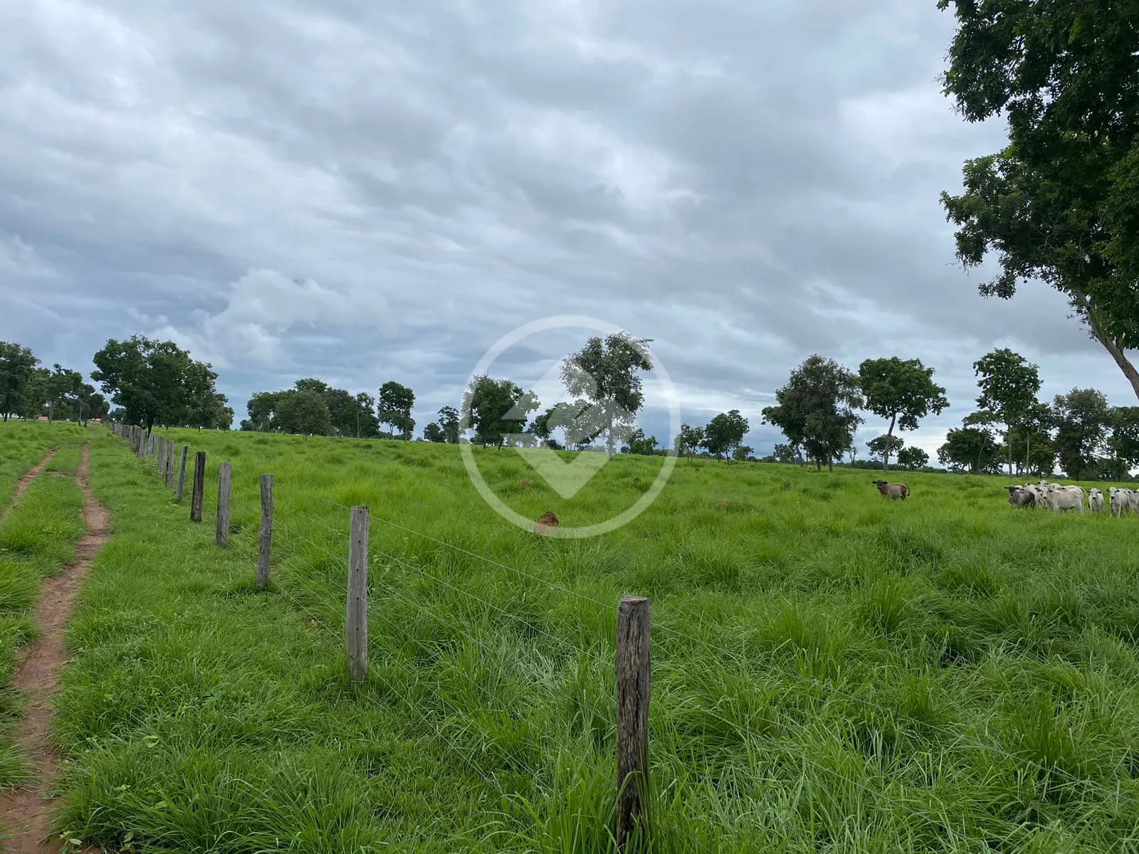 Fazenda ZONA RURAL, Cáceres - MT — foto 1
