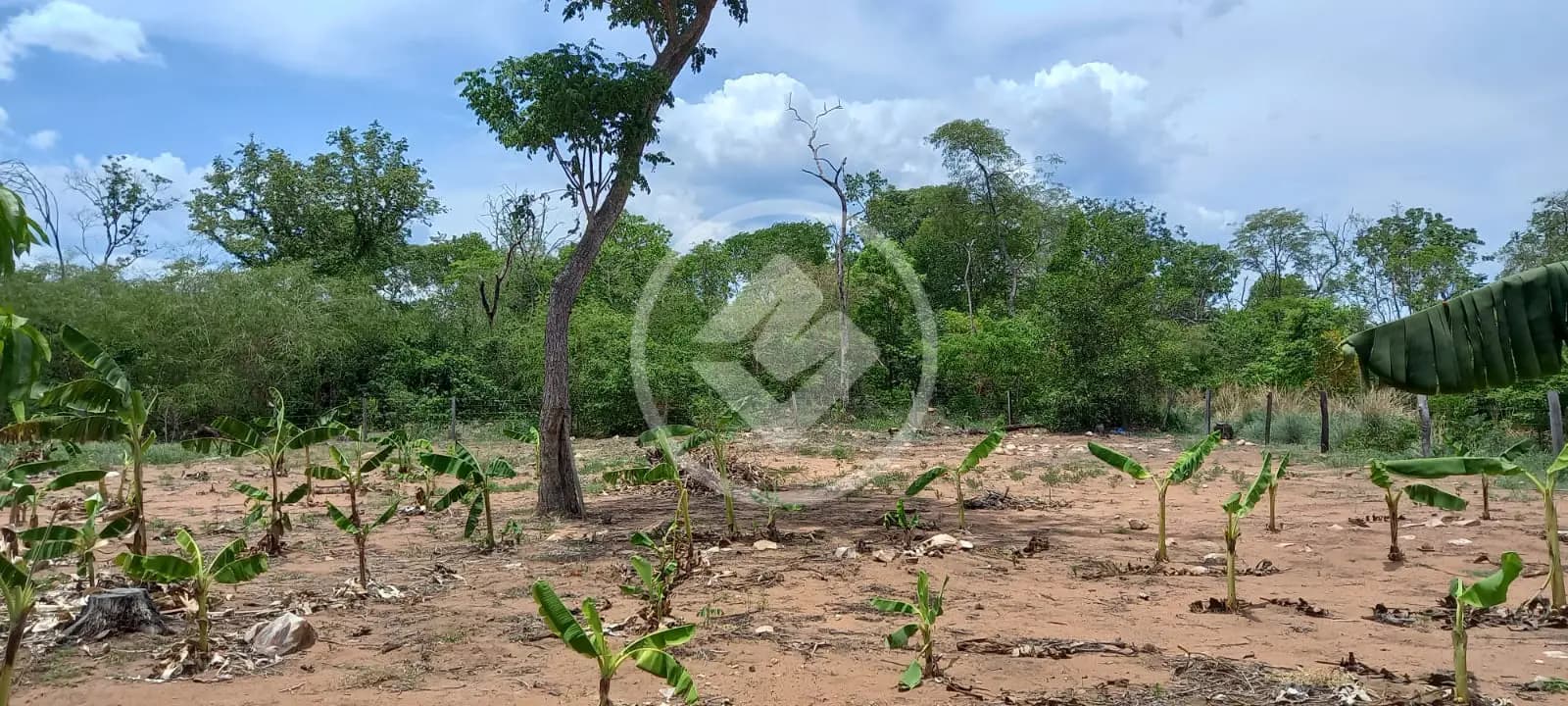 Chácara no ZONA RURAL, CIDADE CONVERSAO — foto 4 de 6