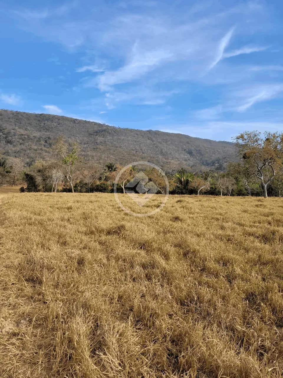 Fazenda no Jardim Paraiso, Cáceres — foto 4 de 6