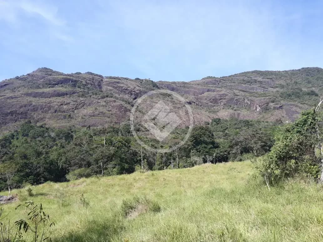 Terreno Comercial Centro, Muriaé - MG — foto 1