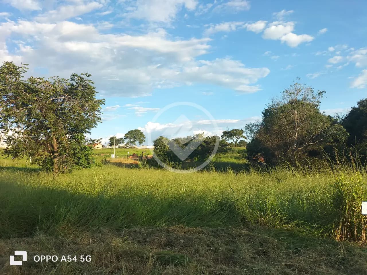 Fazenda no Setor Oeste, Trindade — foto 3 de 3