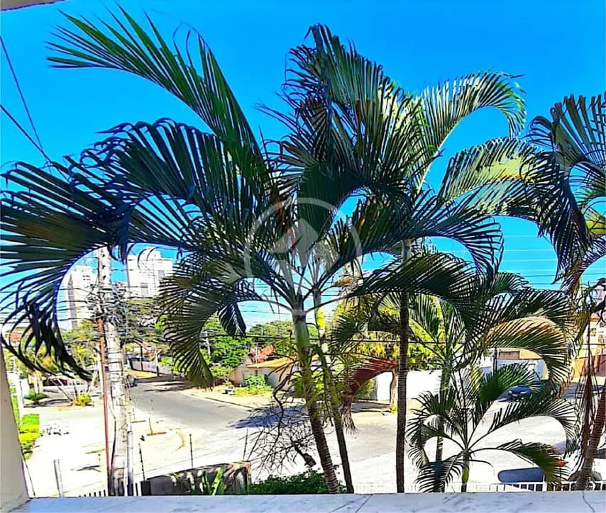 Sobrado Jardim América, Goiânia - GO — foto 2
