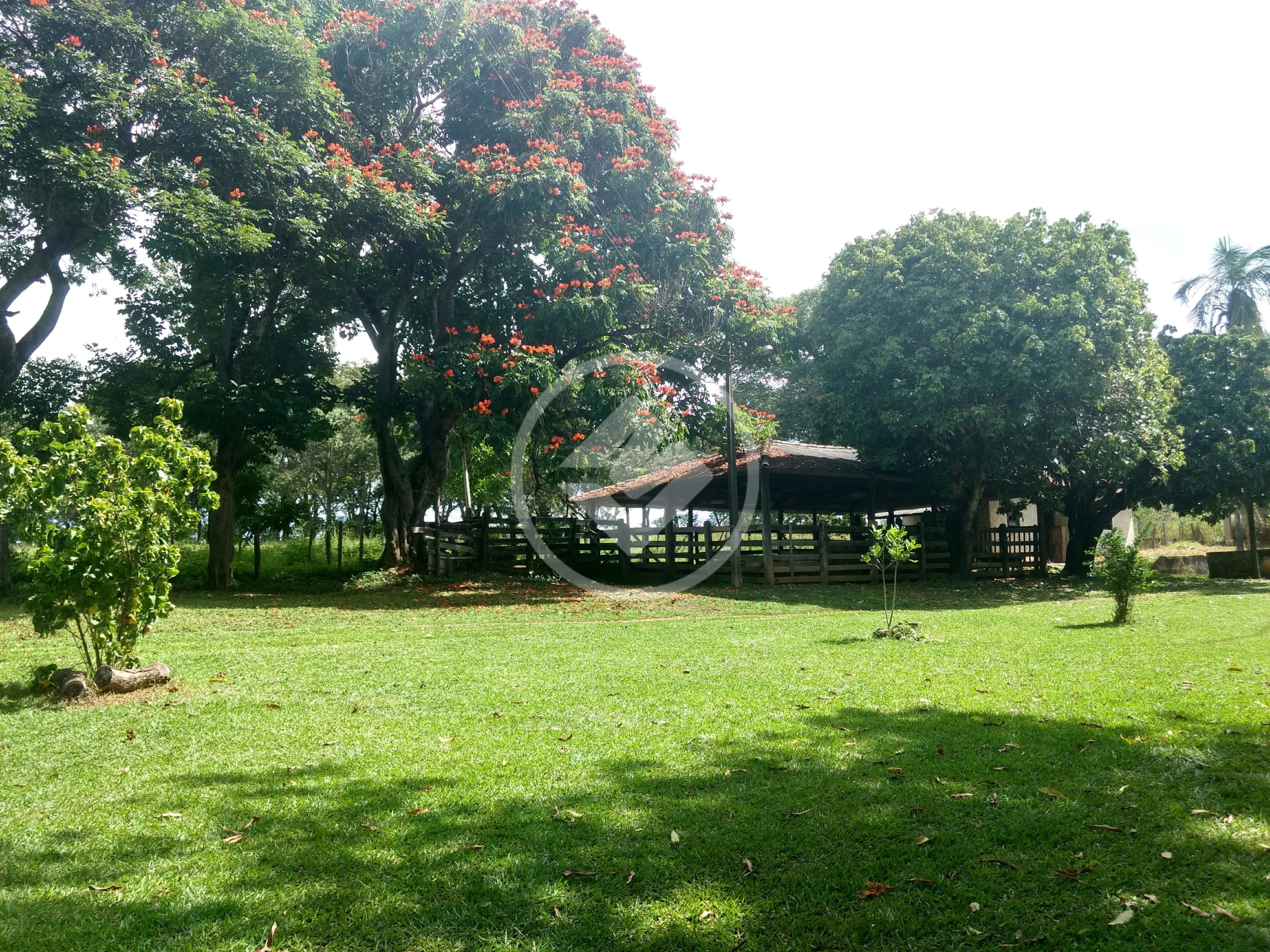 Fazenda Zona Rural, Hidrolândia - GO — foto 1