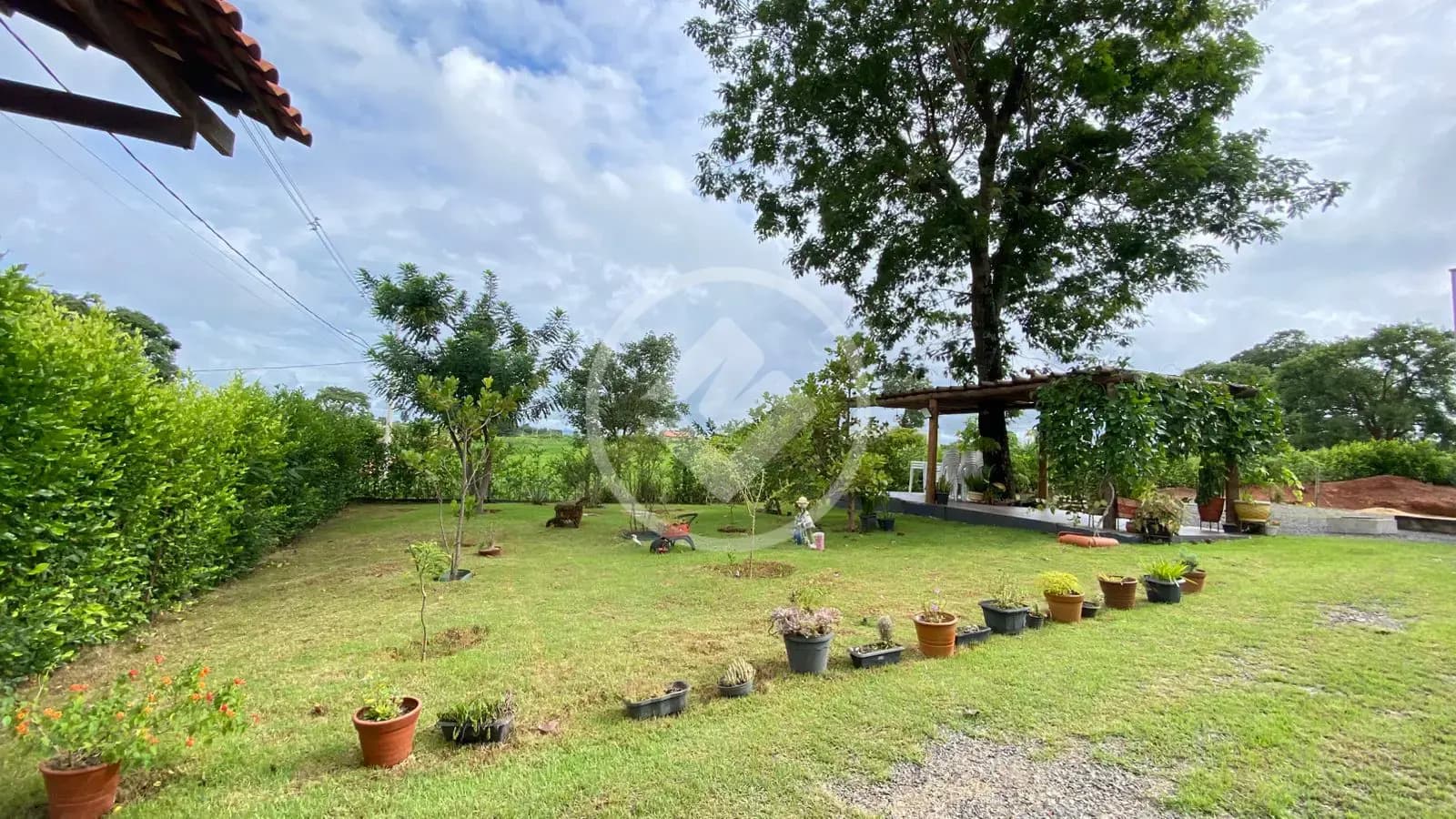 Chácara no Área Rural de Trindade, Trindade — foto 3 de 6