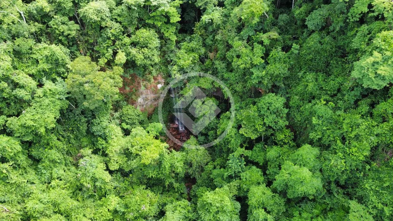 Fazenda Jardim dos Ipês, Rio Verde - GO — foto 2