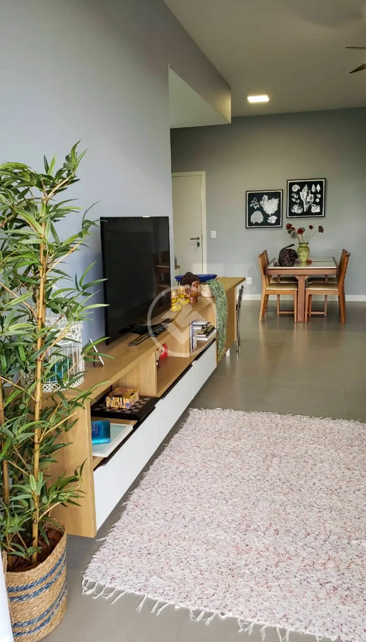 Apartamento 2 quartos no Campeche, Florianópolis — foto 3 de 6