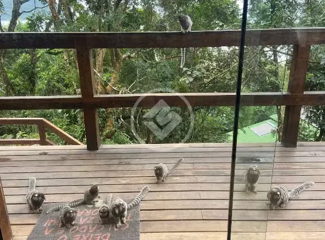 Casa 1 quarto no Pântano do Sul, Florianópolis — foto 4 de 6