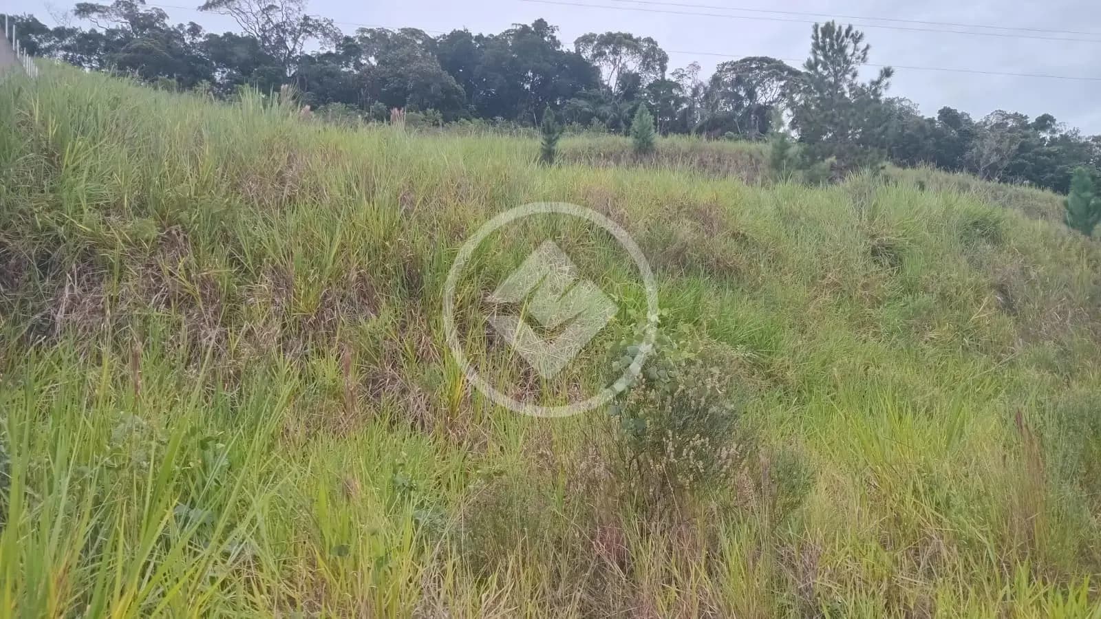 Oportunidade no Sertão do Maruim: Espaço, Tranquilidade e Valorização
