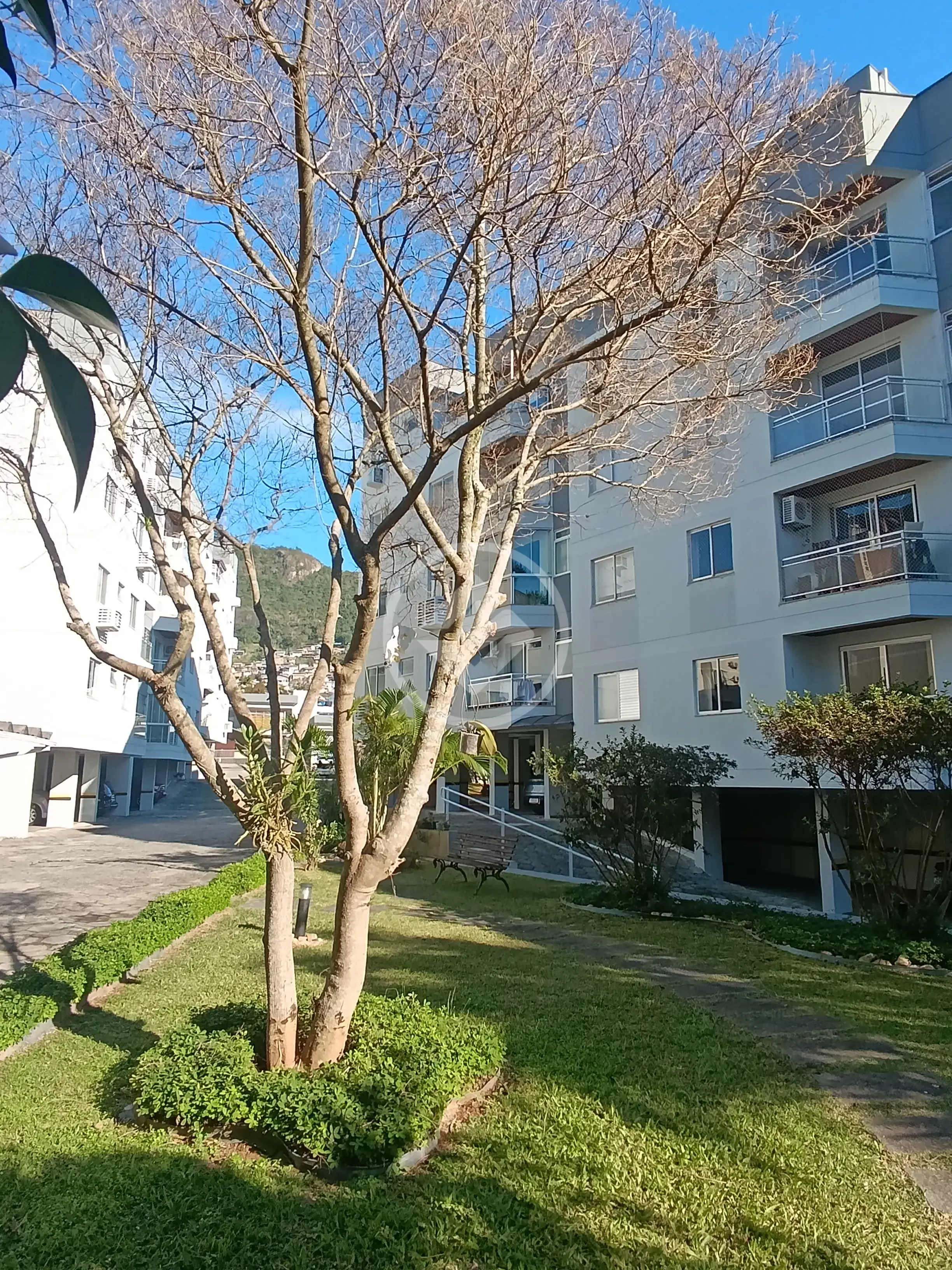Apartamento 3 quartos no Trindade, Florianópolis — foto 1 de 6