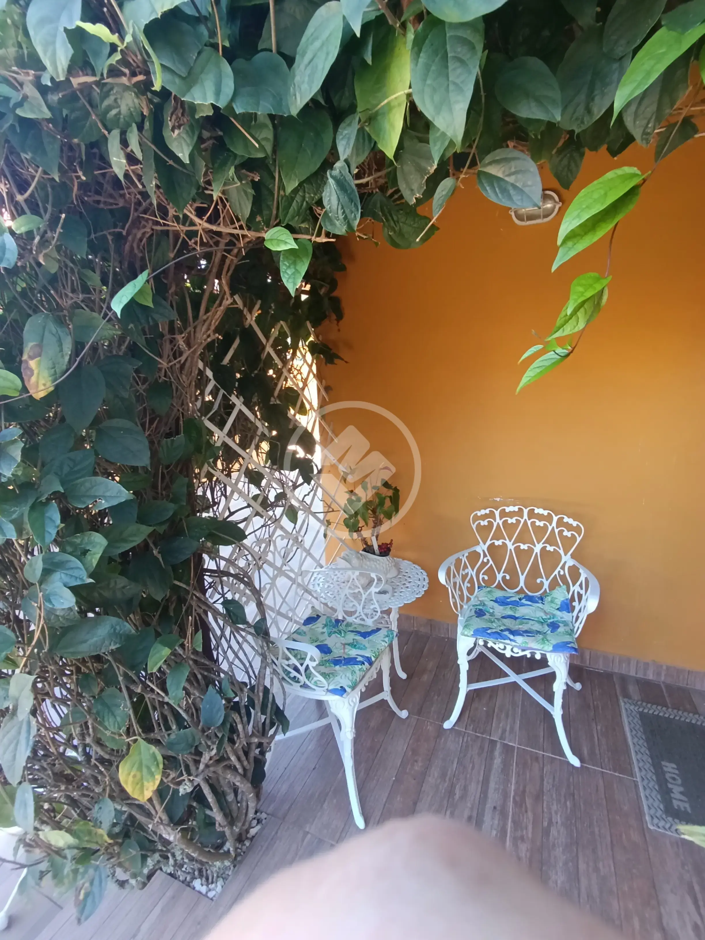 Casa Cachoeira do Bom Jesus, Florianópolis - SC — foto 2