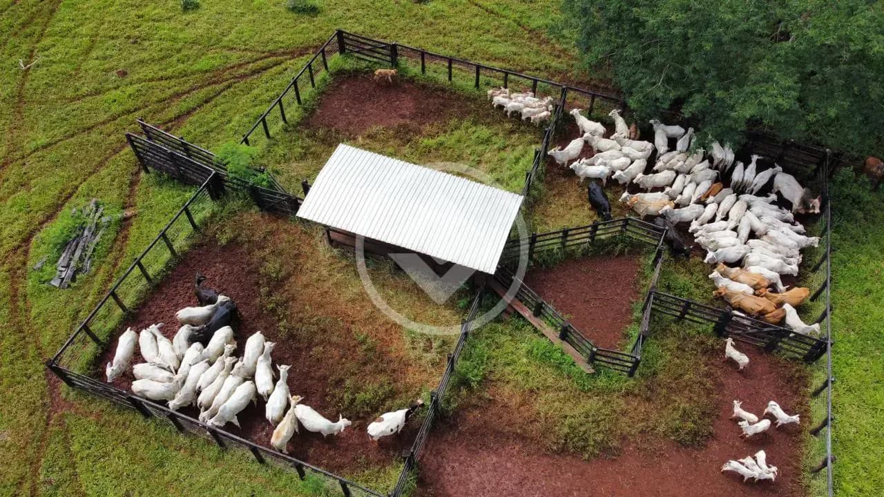 Fazenda no Centro, Goianésia — foto 5 de 5